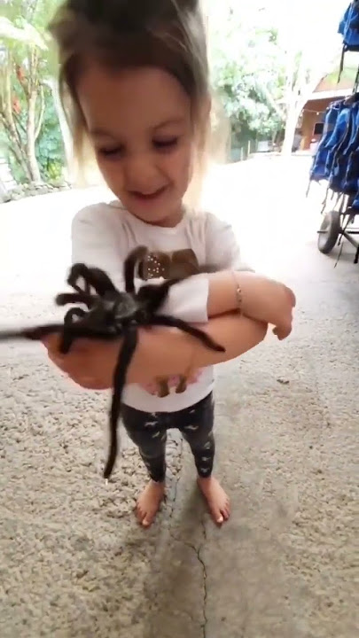 Little girl let’s huge pet tarantula crawl on her #shorts