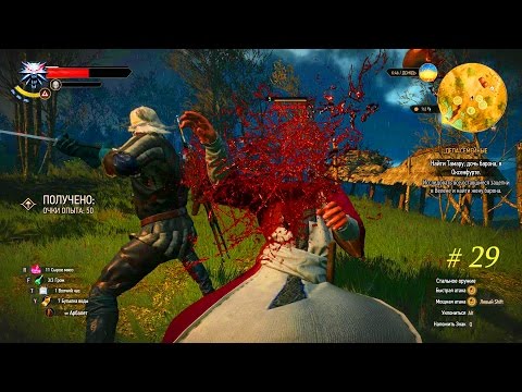 The Witcher 3: Wild Hunt # 29 - რამდენი მოსაკლავია გარშემო