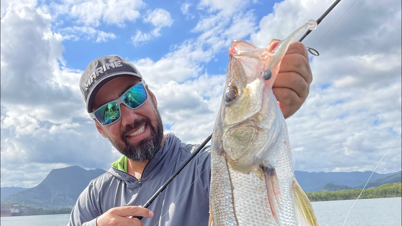 Novo shad SPEED SHAD da iscas Maré