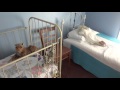 Middle of video