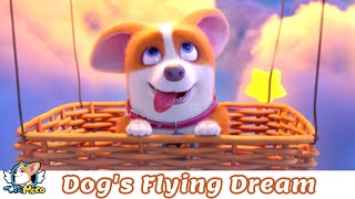 House Has a Short-leg 🏠🦴 | Dog's Flying Dream 想飛的狗 | FlyingMOCO Fun Cartoon飞狗MOCO家有小短腿(2022)