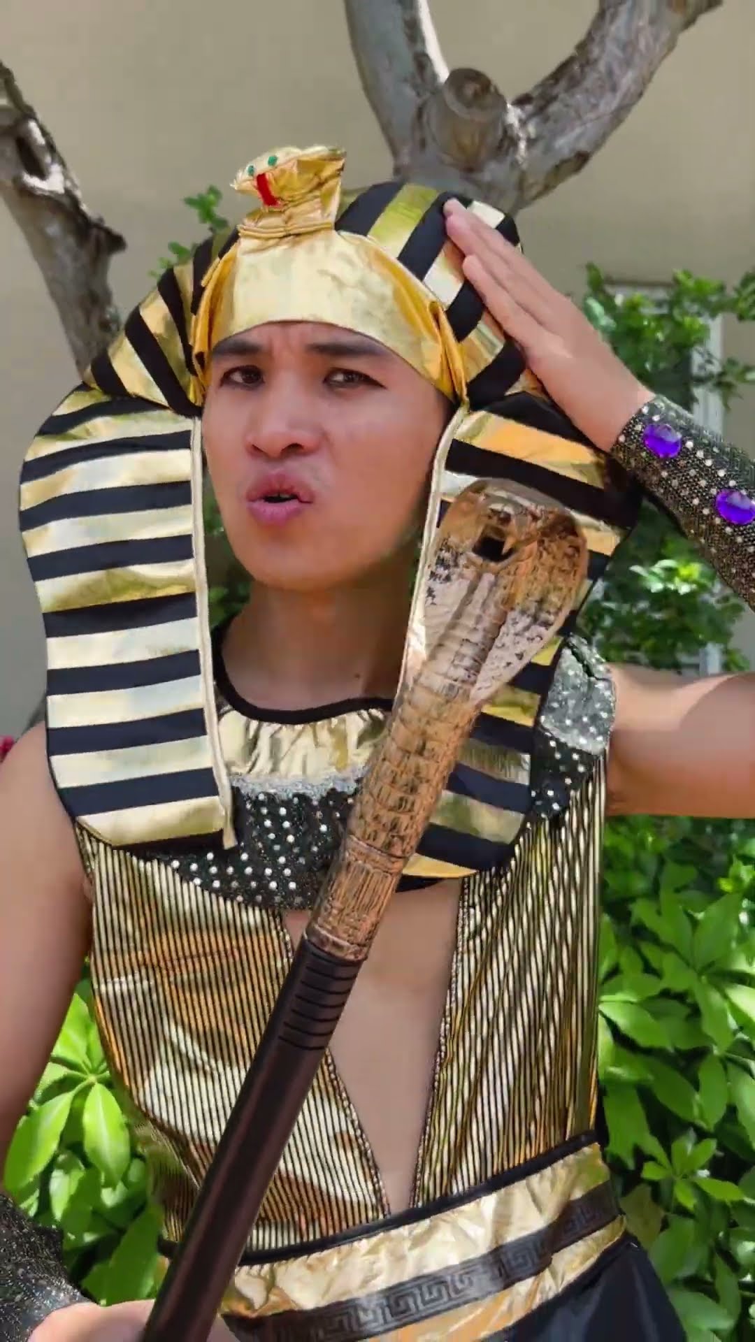 Su Hao comedy: I want to be Pharaoh - Ding Ding Dong cover ?