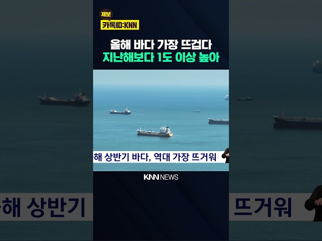 올해 상반기 바다, 역대 가장 뜨거워 / KNN