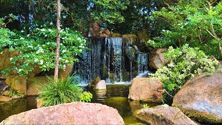 Waterfall Sounds | Relaxing Sounds for Sleeping, Meditating, Studying and to Chill | 1 hour