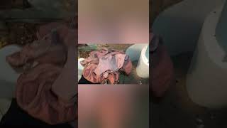 Beckett AFG oil burner troubles and repair