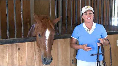 Julie Goodnight talks more about Myler Bits