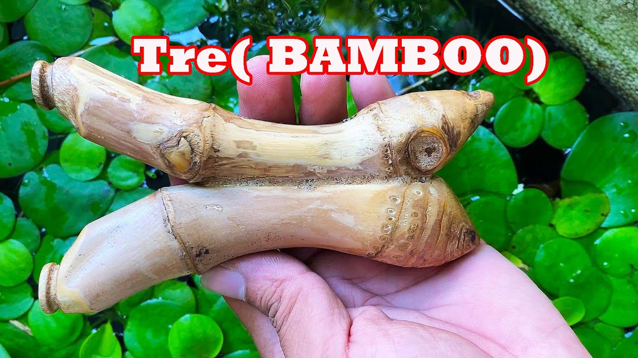 Như Vậy Cũng Làm Được Luôn- Mấy Anh Chơi Ná Giả Trúc Gặp DuyTN Chơi Trúc Thiệt- Slingshot Bamboo