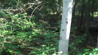 Alaska July 2, 2010  Chena Bend Golf Course 2 Dz. Balls R.I.