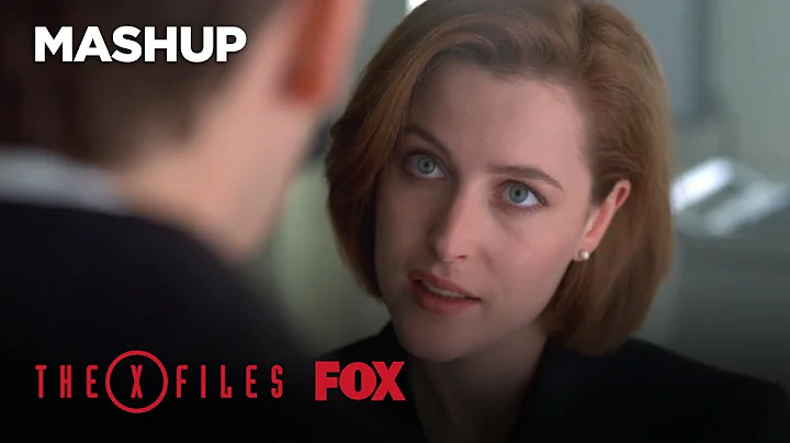 Marguerite Scully Photo 7
