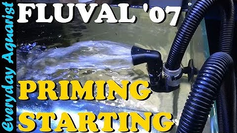 Fluval 07 Filter STARTING and PRIMING How To | 107 207 307 407