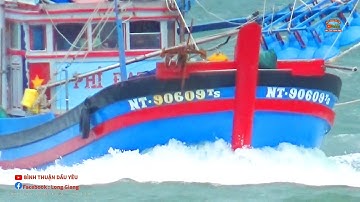 🔴 Cần Cảnh Ghe Pha Súc Ninh Thuận Về Cảng Cá Lagi || Bình Thuận Dấu Yêu