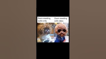 programming #funny #video #status#shorts #python  #tiktok  #whatsappstatus  #viral   #shortvideo