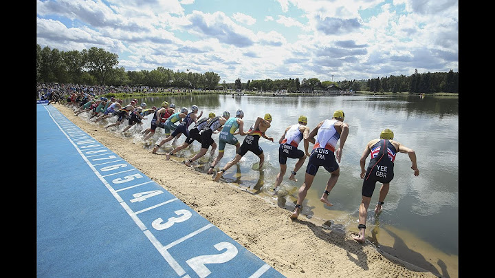 2021 World Triathlon Championship Finals Elite Men's Highlights