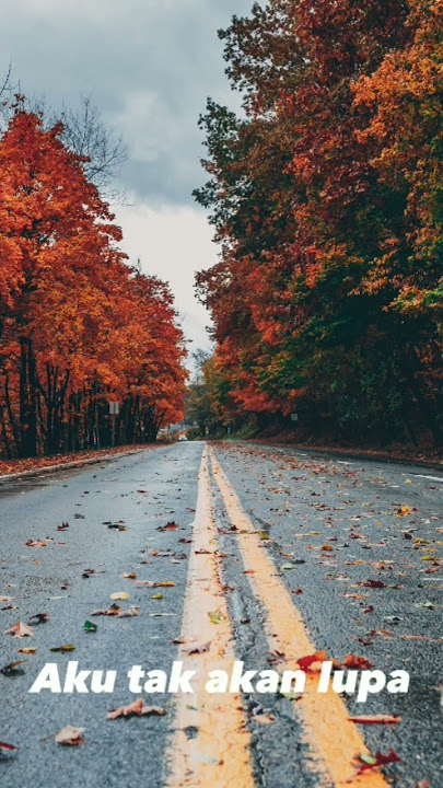 Tami Aulia - seluruh nafas ini | lyrics music #shorts #story #storywa