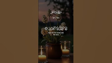 قرآن كريم #اكسبلور #المصحف #قران_كريم #راحة_نفسية