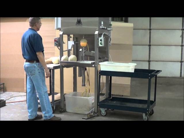 Peeling Butternut Squash using Pre-Pack Machinery's commercial fruit peeler  