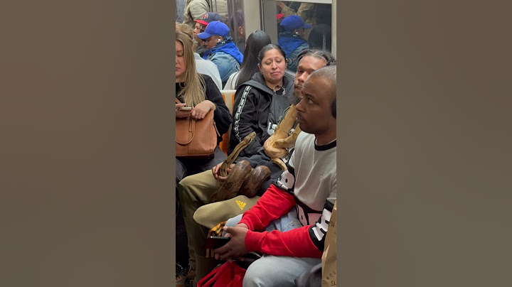 Provando que o metrô de NOVA YORK é o pior do mundo versão ANIMAIS