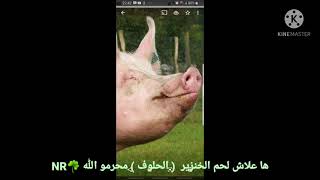 علاش دين الإسلام حرم اكل لحم  الخنزير؟☘NR