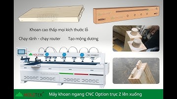 Siêu Máy Khoan Ngang Cnc Holztek OPTION TRỤC Z Khoan đa điểm - Lắc mộng lá Sách