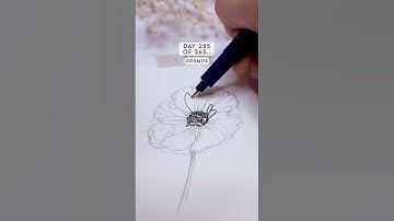Drawing flowers for 285 days straight. Only 80 days to go 😅 Today is a cosmos #artchallenge #cosmos