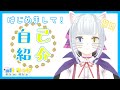 【自己紹介】はじめまして!猫目みっけにゃ!【新人Vtuber】