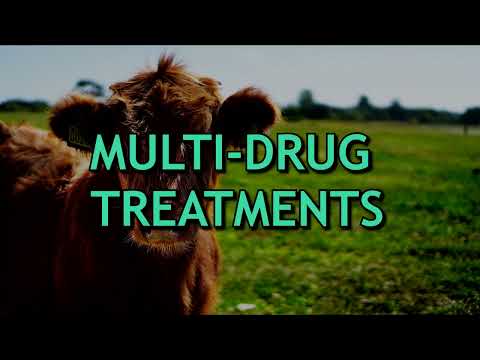 Making a Treatment Template and Multi Drug Treatment