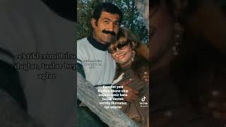 Bergen Katili Halis Serbest