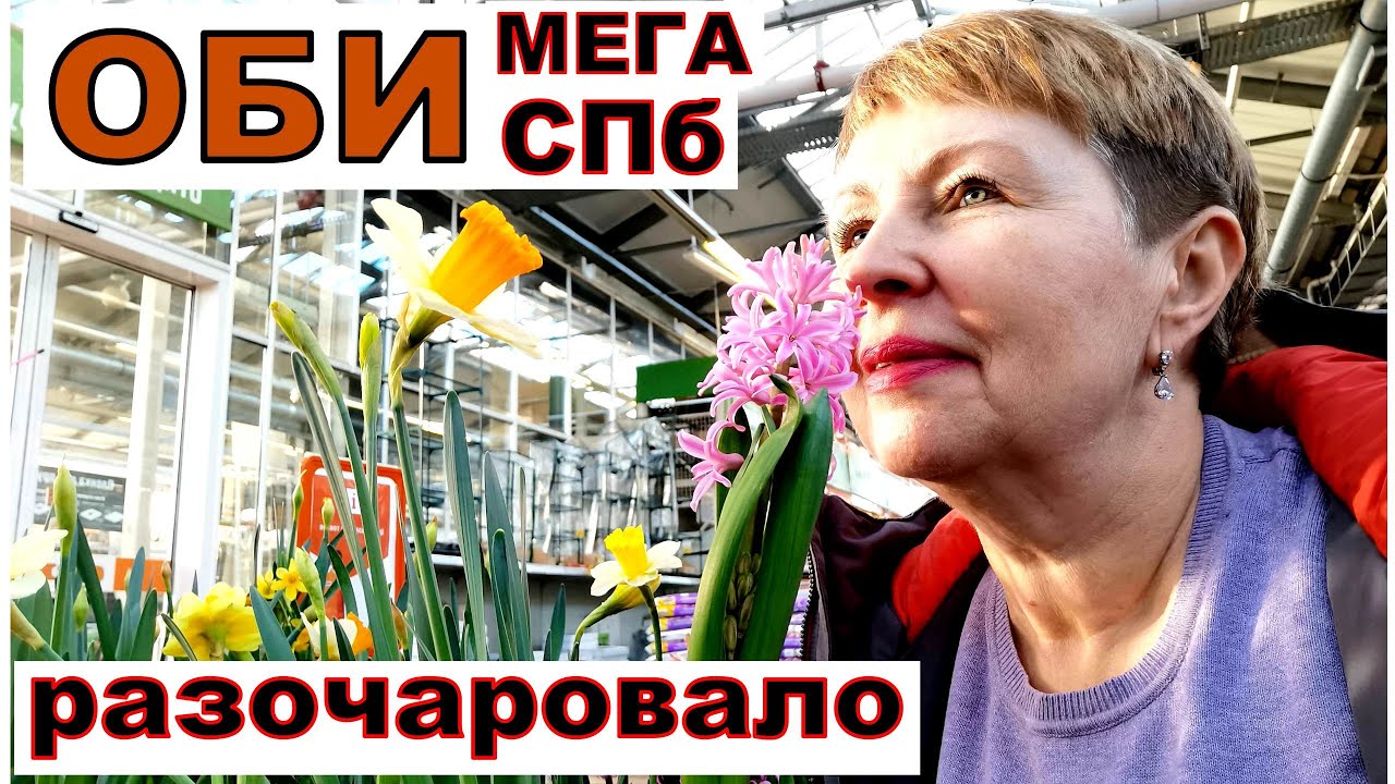 Поехала за покупками в ОБИ Мега Дыбенко СПБ и осталась полностью ...