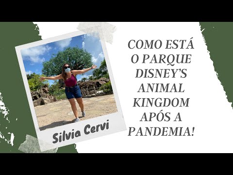 Vídeo: O que saber sobre visitar o Disney's Animal Kingdom durante a pandemia