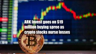 ARK Invest goes on $19 million buying spree as crypto stocks nurse losses