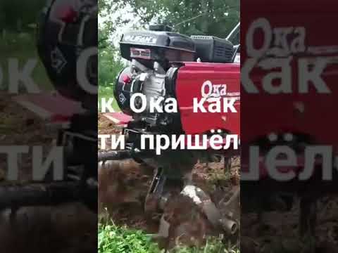 Мотоблок Ока обработка огорода для посадки #рекомендации #мотоблок