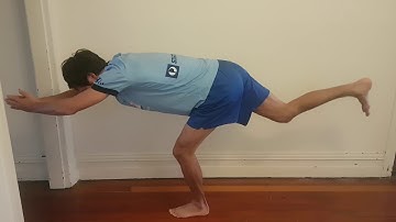 The Diver Hamstring Exercise