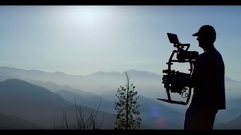Why I Choose DJI  Ronin 2 to Capture Nature