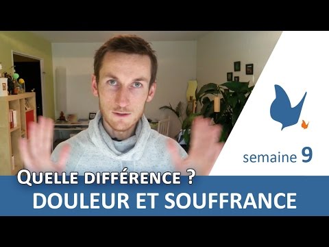 Vidéo: Différence Entre La Douleur Et La Souffrance