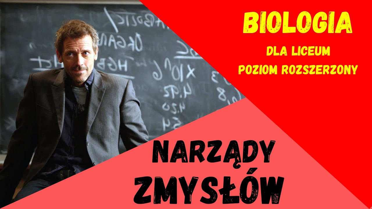 Narządy zmysłów. Biologia rozszerzona do matury. #matura - YouTube