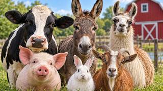Cute Animal Sound Learn Wild and Farm Animals 🦒🐧🐱  Animal sound for kids