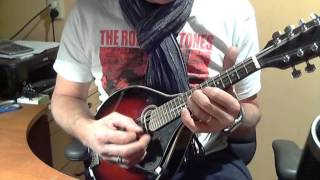 Oefenen Op De Mandoline Factory Girl Van De Rolling Stones