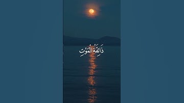 ما تيسر من سورة العنكبوت-بصوت عبد الرحمن مسعد"🤍🕊️
