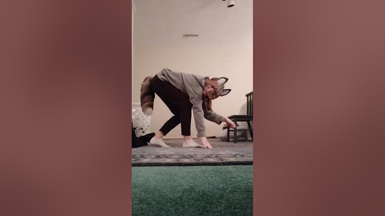 quadrobics-walking-tutorial-youtube