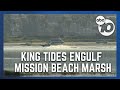 King Tides engulf Mission Bay marsh, flood parts of San Diego