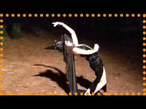 Halloween Witch Belly Dance