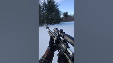 AEA Megalodon SUPPRESSED VS UNSUPPRESSED. #aeaairguns