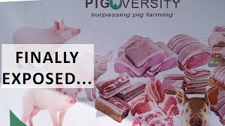 Selling Swine Strategies: How I Market Pigs to Win Over Customers!