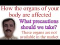 How the organs of your body are affected  how the organs of your body are safe