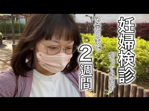 【臨月】出産直前の妊婦検診Vlog‼ドキドキ...