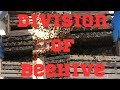 How to divide a beehivedivision kis tarah karata hai self division swarmming control division