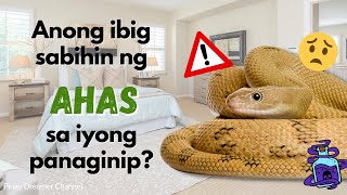 [DREAM INTERPRETATION - Tagalog/Filipino] Ano ang ibig sabihin ng AHAS sa inyong panaginip?
