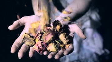 Anji Bee & The Morphism - Love Me Leave Me (official video)