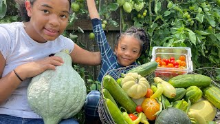 "Bountiful Abundance: Early July Garden Harvest Extravaganza!"Witness this Insane Harvest