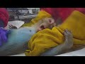 You were never meant to see this: Inside toxicity testing labs